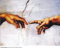 /album/materiale-laoratorio-p-cerlati-alla-ricerca-del-corpo-perduto/michelangelo-particolare-della-cappella-sistina-jpg/